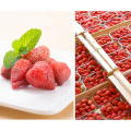 2021 best selling products frozen fruit freeze dried strawberry